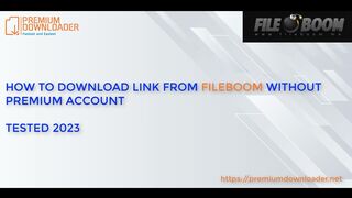 Premium Downloader - How to download FileBoom file without premium account in 2024