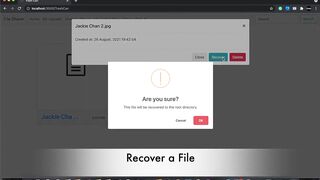 Adnan Afzal - File Transfer Web App - Trash Can