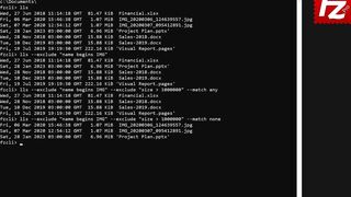 FileZilla Pro - How to Use Filters with FileZilla Pro CLI