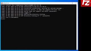 FileZilla Pro - CLI Tutorial with Handle Errors