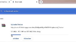 Multihoster - Uploaded Premium vs Multihoster LinkSnappy vs Premiumize Test 2024