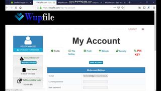 PremiumInstant - How to activate Salefiles premium account in 2024