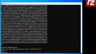 MoneyPlatform - How to Register FileZilla Pro CLI Using K2S