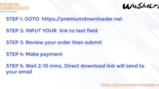 Premium Downloader - How to download file from Wushare without premium account (Leech link 2024)