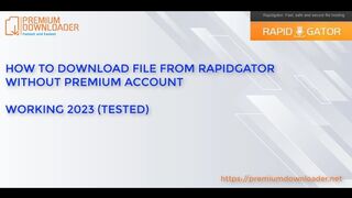 Premium Downloader - How to download file from Rapidgator without premium account in 2024