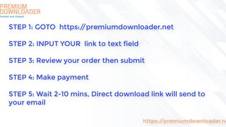 Premium Downloader - New Filehosting Premium Link Generator 2024